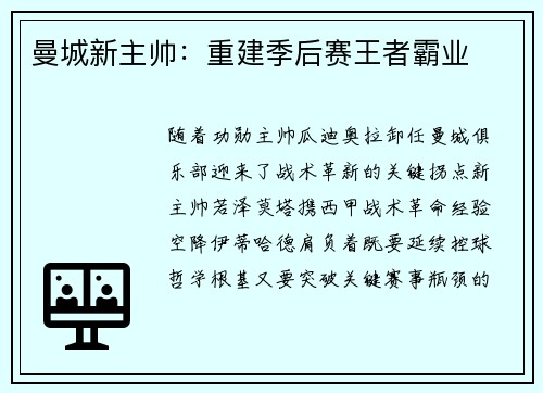曼城新主帅：重建季后赛王者霸业